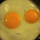 Talking fried egg