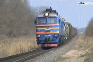 http://www.gifbin.com/bin/082012/1346171932_extreme_dog.gif