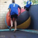 Inflatable ball bounce