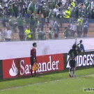 Fan hits referee in the head with ball