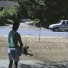 Epic fetch jump in the river