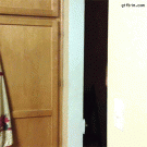 Ninja scare reaction