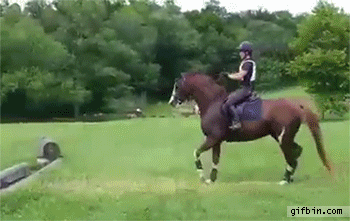1438623092_hesitant_horse_jumps_over_sma