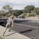 Spectacular cat saving