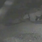 Guy takes pic of girl after falling