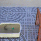 Fish scoring soccer goals