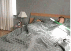 funny gifs