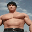 Arnold's pecs - Hercules in New York