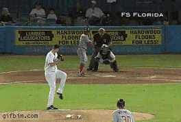 1283772976_baseball-fight.gif