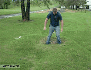 1285687714_water-under-the-grass.gif
