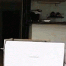 Maru jumping in slo-mo