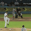 Baseball fight