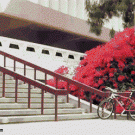 BMX nutbounce faceplant