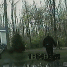 Dog chases cop