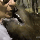 Woman French-kisses bear