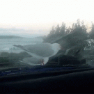 How to troll seagulls