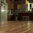 Cat takes treat off table