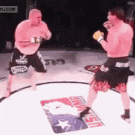 MMA kicking fail