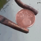 Electrocuting a coin