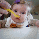 Little girl falling asleep while eating