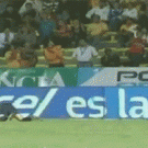 Soccer fan faceplants while catching ball