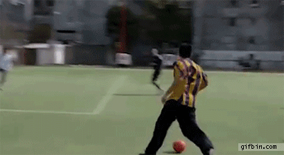 Dog scores goal