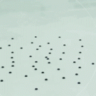 Hockey stick handling skills (Patrick Kane)