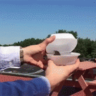 Releasing the bird fail