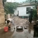 Guy gets hit from behind