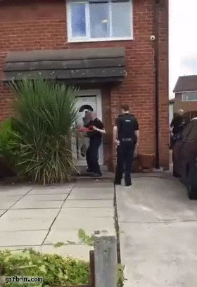 man-jumps-from-window-to-escape-police.gif