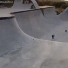 Dog chasing ball in skate park vs. momentum