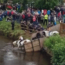 Girl flies off jumping horse