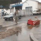 Guy in monkey costume owns woman