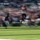 Ray Lewis vs. Ocho Cinco