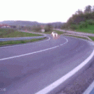 BMW drift