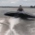 Flying boat