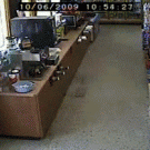 Drunk guy in supermarket vs. fan