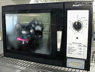 1287506749_cat-in-microwave.gif