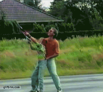 1287508018_strong-wind-kiting.gif