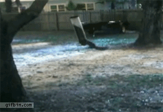 1319739110_squirrel_gets_dizzy_from_spinning.gif