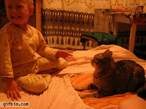 1319739621_baby_starts_fight_with_cat.gi
