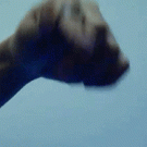 Ring finger trick - the Gryphon Roll