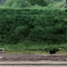 Ford Focus crash test at 120mph