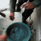 Man swallows frog alive