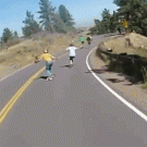 Longboarder hits deer