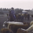 Cowboy hat boomerang