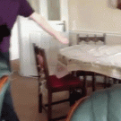 Cat slides off the table