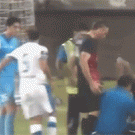 Flare goes off on soccer field in the middle of crowd
