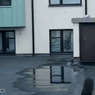 Painful parkour fall