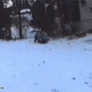 Sledding and skateboarding 2 in 1